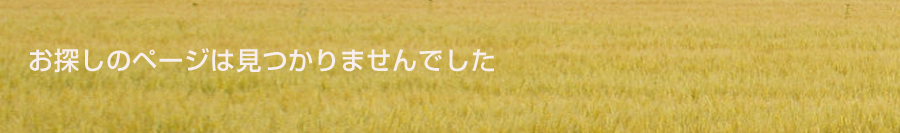 お探しのページは見つかりませんでした